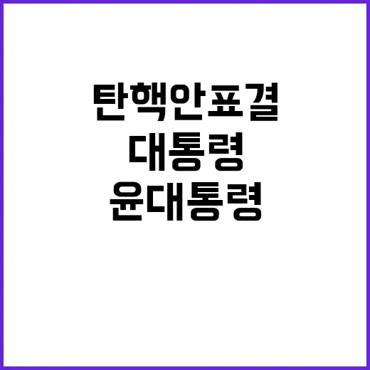 정국안정 윤대통령의 선택과 탄핵안 표결 전망!