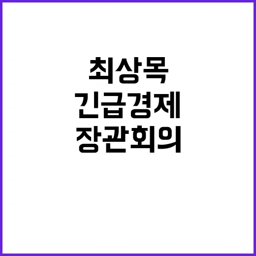 긴급경제장관회의 최…