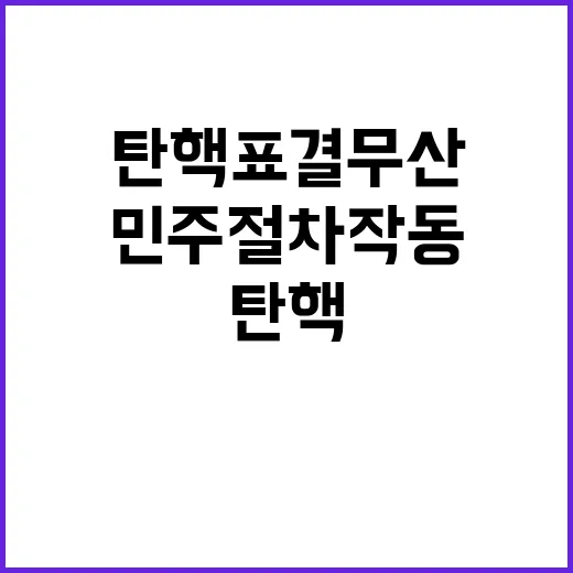 탄핵표결 무산 민주…