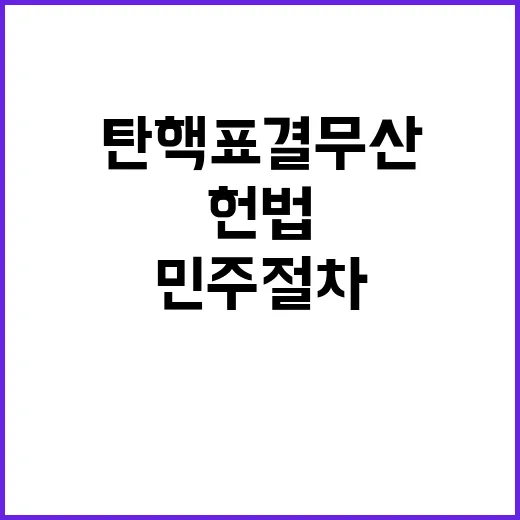 탄핵표결 무산 헌법…