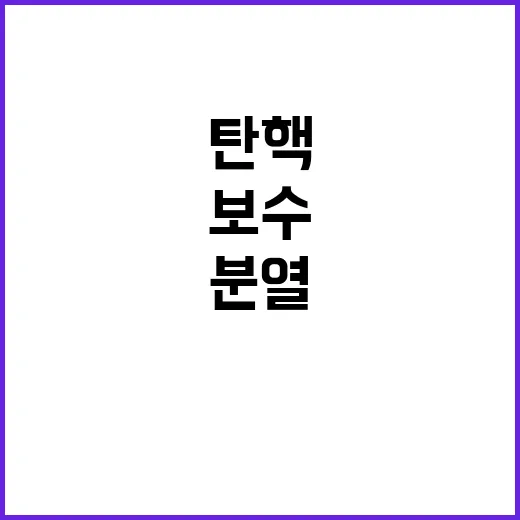 “탄핵은 보수 분열…