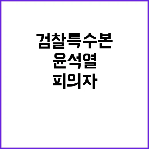 검찰 특수본 피의자…