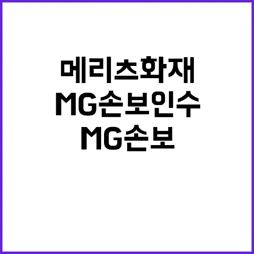 메리츠화재 MG손보…