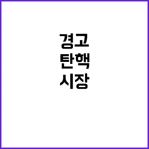 탄핵 정국 리스크 한국 시장 전문가들 경고!