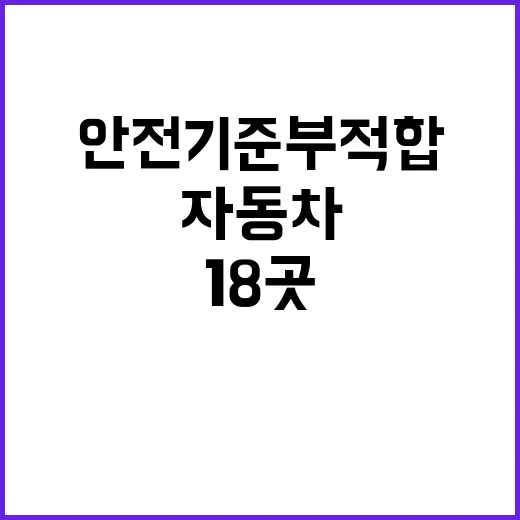 안전기준 부적합 1…