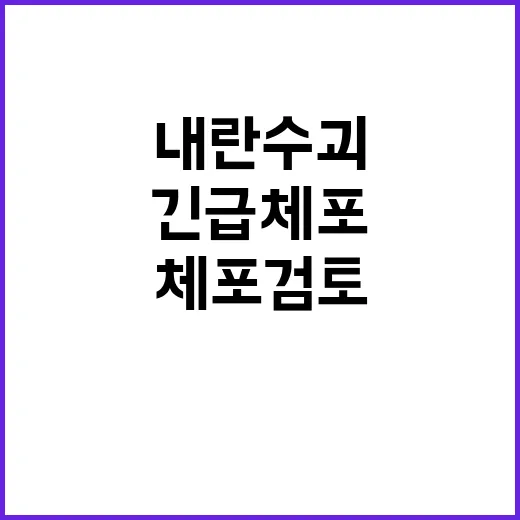 내란 수괴 구속수사 경찰 긴급체포 검토 중!