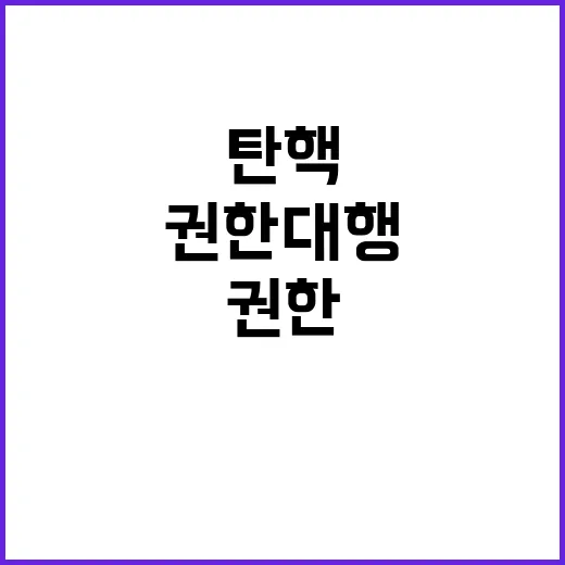 권한대행 도미노? 총리 탄핵 위기 진실 공개!