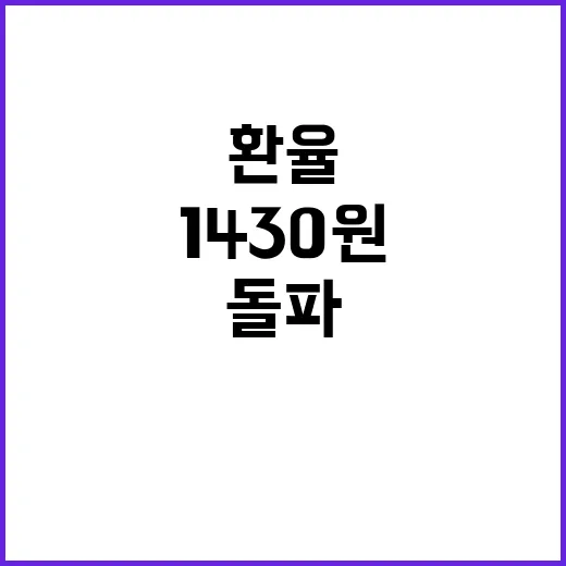 환율 장중 1430원 돌파! 전문가들 긴장!