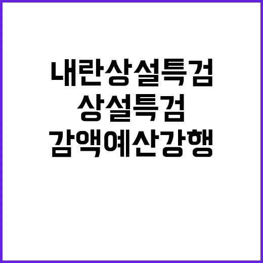 내란 상설특검 야당 감액예산 강행의 충격적 사실!