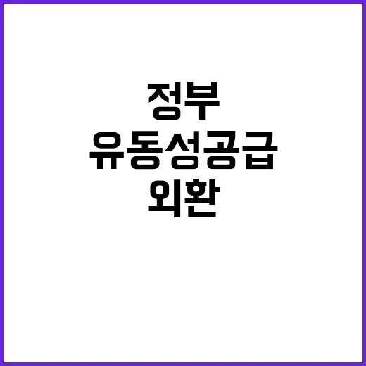 정부의 유동성 공급…