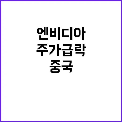 중국 엔비디아 반독…