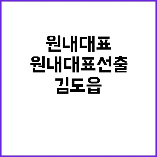 원내대표 선출 김도…