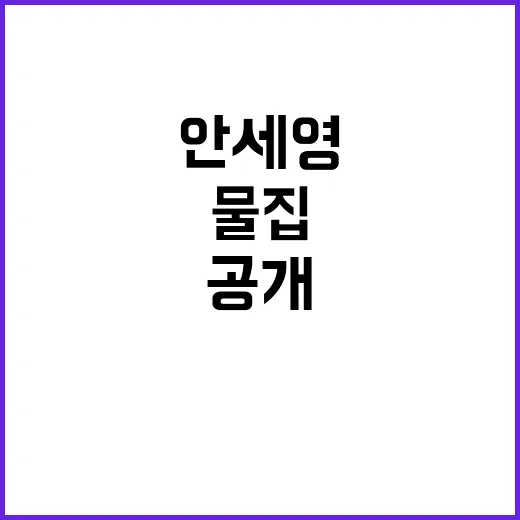 안세영 발바닥 공개 충격적인 물집 상황!