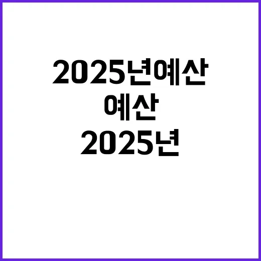 2025년 예산 분야별 배분에 놀라운 변화!