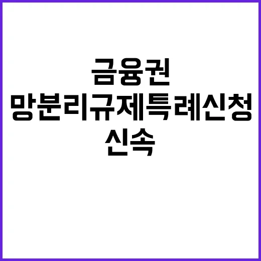 금융권 신속 처리 망분리 규제 특례 신청 사실!