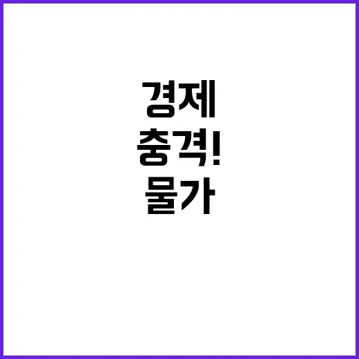 물가 상승 소비자 …