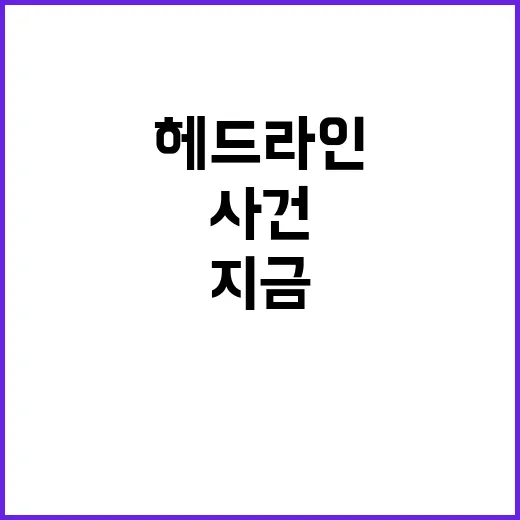 헤드라인 헤드라인 …