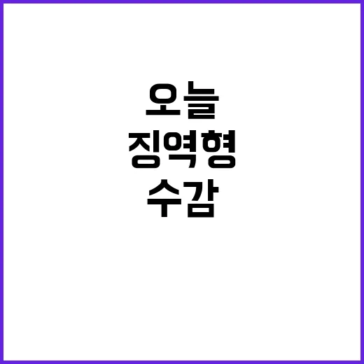 조국 징역형 확정……