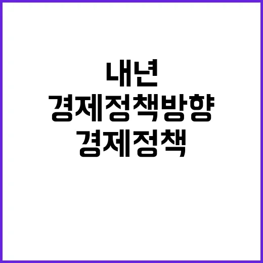 방한관광 지원 내년 경제정책 방향 대박 전망!