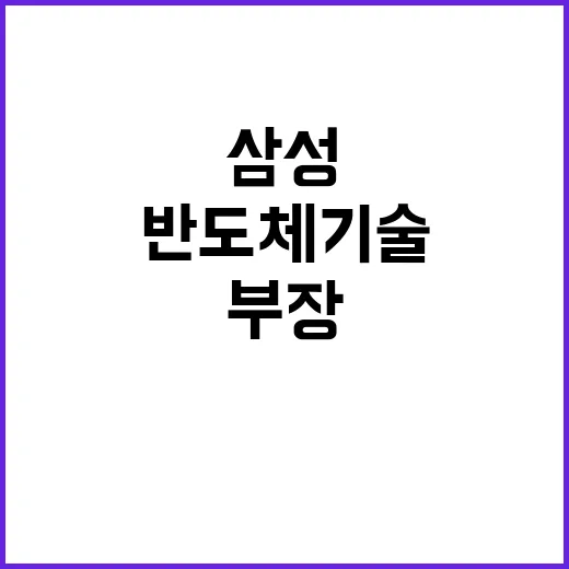 삼성 반도체 기술 …