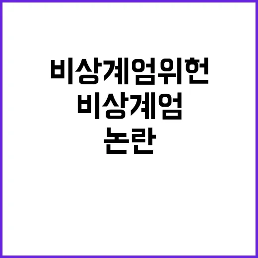 비상계엄 위헌 논란…