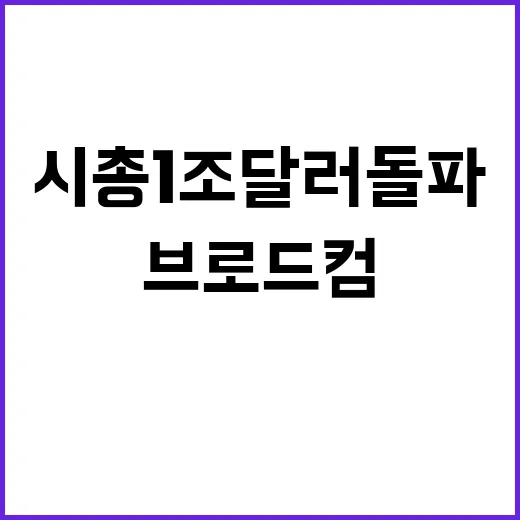 브로드컴 시총 1조…