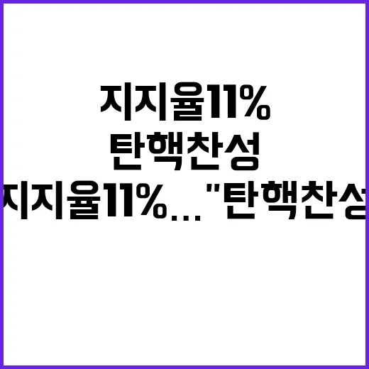 지지율 11%…탄핵…