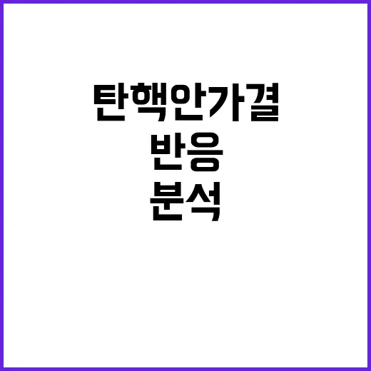 탄핵안 가결 SNS 반응과 서비스 안정성 분석!