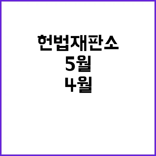 헌법재판소 4월 벚꽃과 5월 장미의 대결!