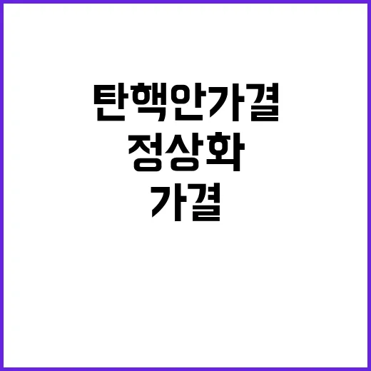 탄핵안 가결 국정 …