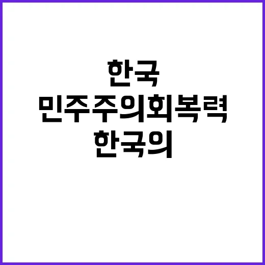 민주주의 회복력 한국의 철통 동맹지지에 대한 증언!