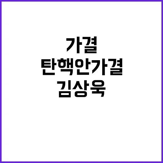 탄핵안 가결 김상욱…