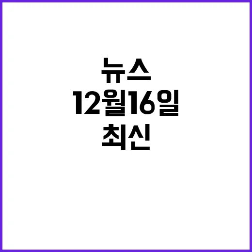 12월 16일 최신 뉴스와 생생한 이야기 공개!