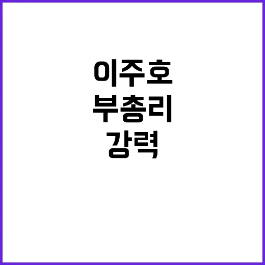 국민 우려 이주호 부총리의 강력한 대응 발표!