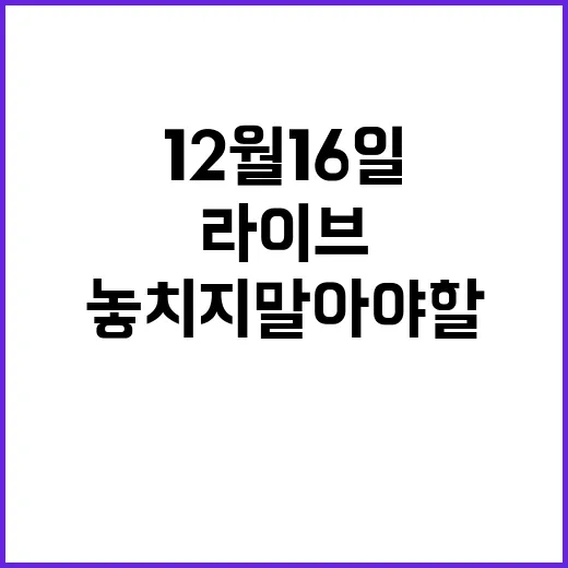 12월 16일 라이브투데이 놓치지 말아야 할 순간!