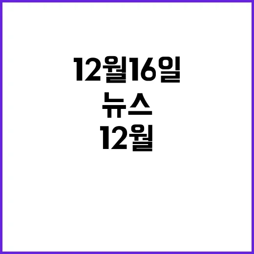 뉴스투나잇 12월 16일 긴급 보도!