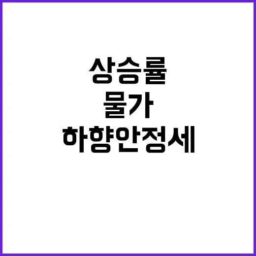 고독한 한동훈 퇴진…