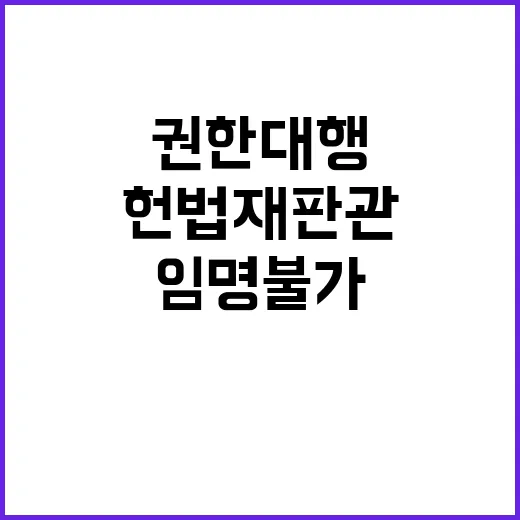 헌법재판관 공방 권한대행 임명 불가에 대한 논란