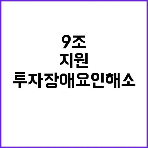 9조 지원 투자 장애요인 해소의 새로운 길!