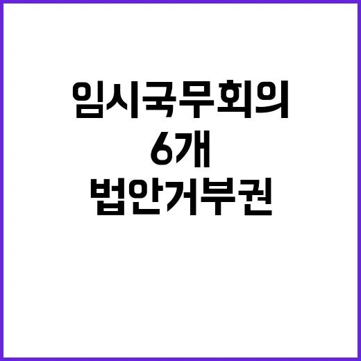 임시국무회의 6개 쟁점법안 거부권 여부 주목!