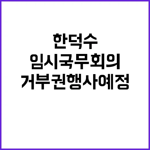 임시국무회의 한덕수 거부권 행사 예정!