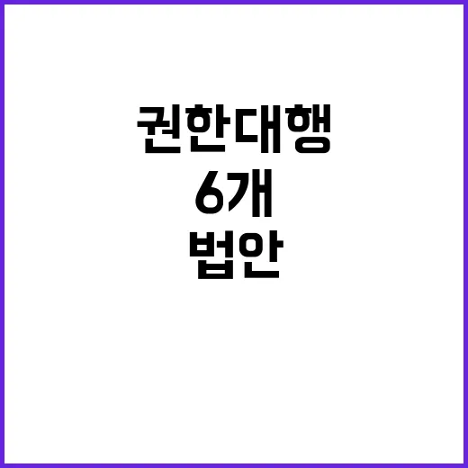 권한대행 헌법정신 …