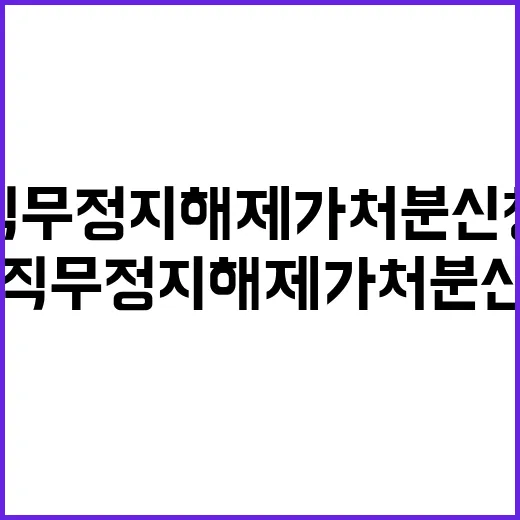 尹 직무정지 해제 가처분 신청 계획?