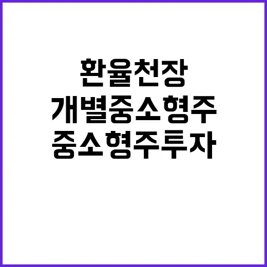 “환율천장 개별 중소형주 투자 기회 발견하기!”