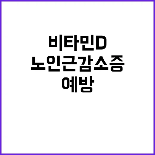 비타민D 효능 노인 근감소증 예방 효과 밝혀졌다!