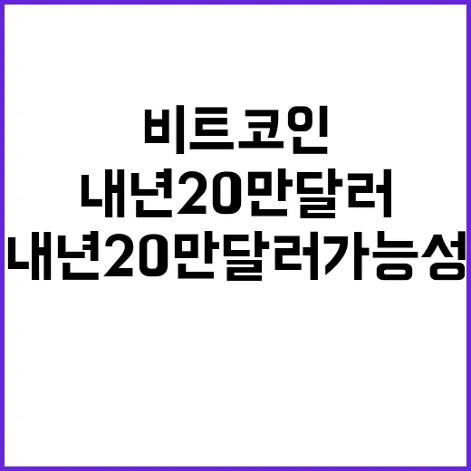 비트코인 내년 20만 달러 가능성은?