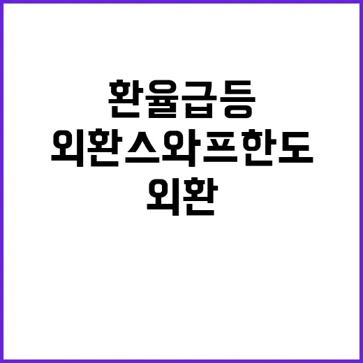 환율 급등 당국 외환스와프 한도 늘렸다!