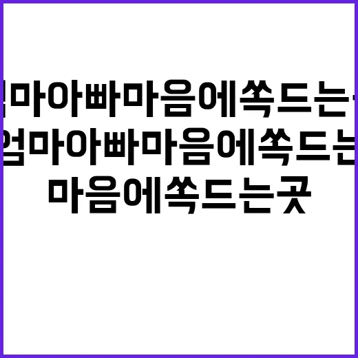 놀이터 엄마 아빠 …