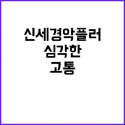 “신세경 악플러 심…