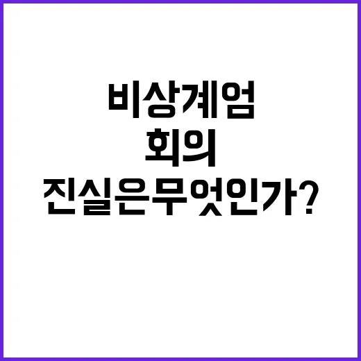 비상계엄 고위당정 회의의 진실은 무엇인가?